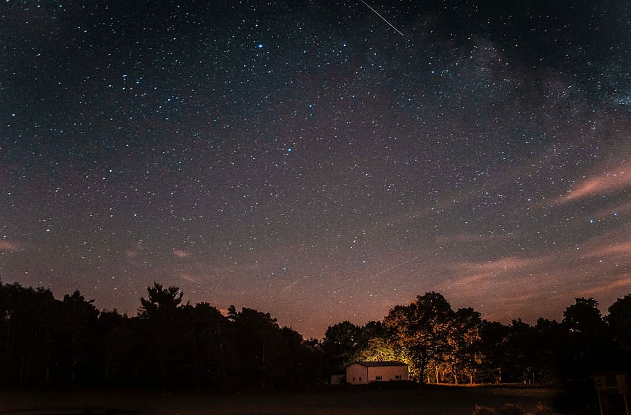 white house on forest under blue sky, silhouette of trees during nighttime HD wallpaper