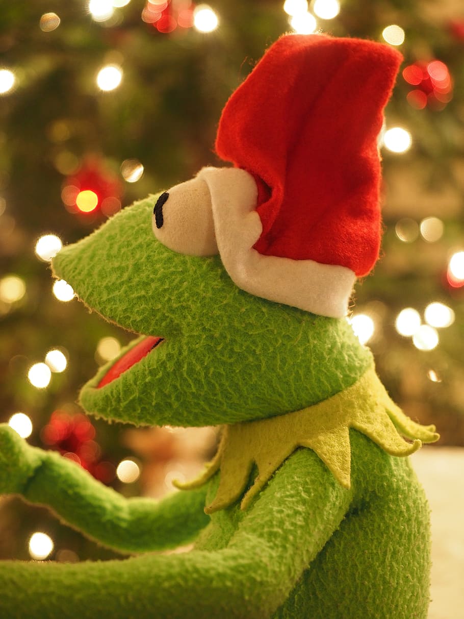 Kermit, Frog, Christmas, christmas frog, cheerful, funny, good mood, HD wallpaper