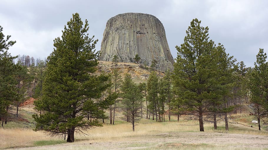 devils tower, national park, america, rock, grooves, landscape, HD wallpaper