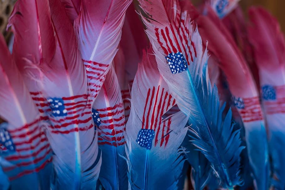 U.S.A. flag on feathers, white and red feather lot, multi Colored HD wallpaper