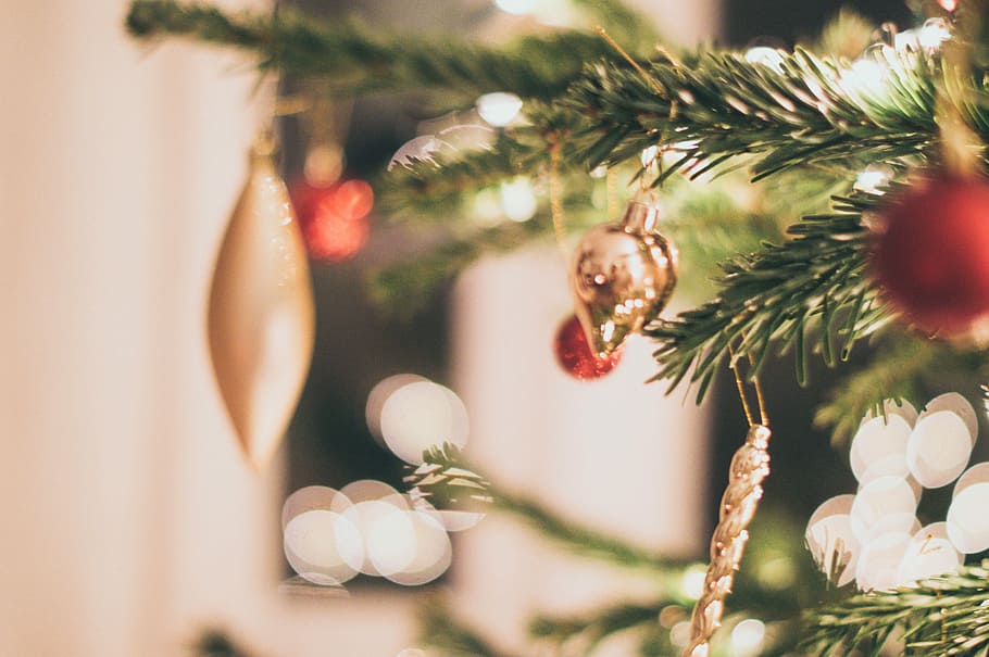 Christmas joy, assorted hanging christmas decors on pine tree HD wallpaper