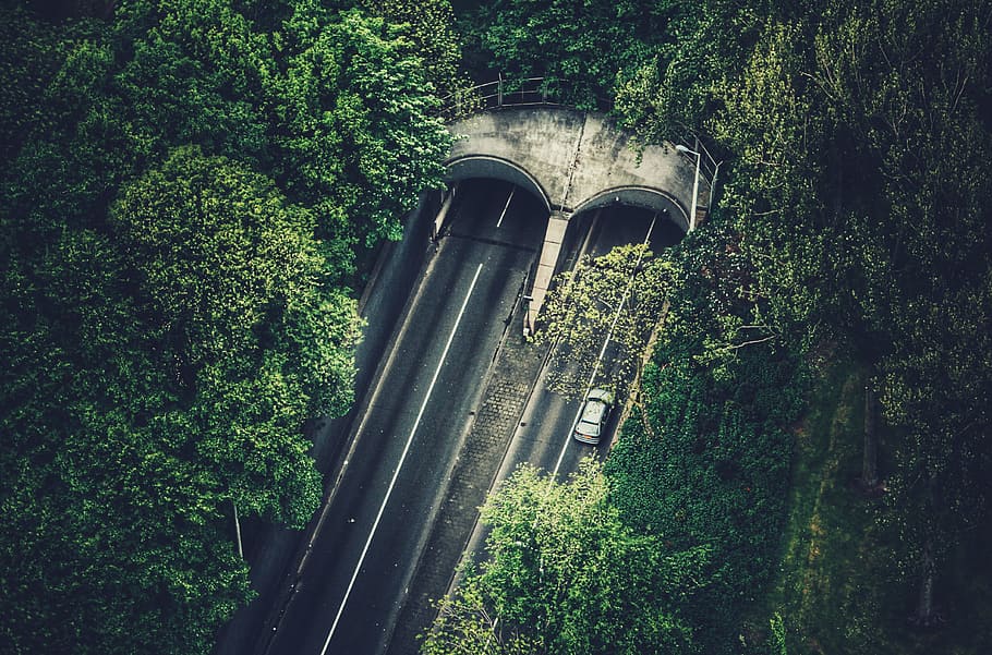 bird's eye view of tunnel, bird's eye view photo of road between trees HD wallpaper