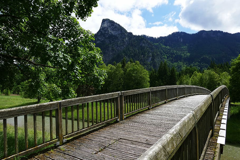 brown and gray bridge near tall green tree with mountain background HD wallpaper