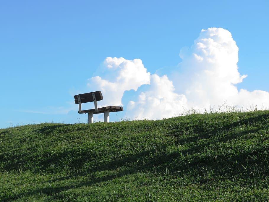 brown and white wooden metal-framed bench on grass, Seat, Rest HD wallpaper