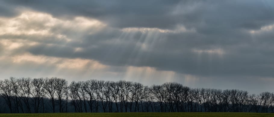 panorama, cloud cover, clouds, cloud - sky, tree, plant, beauty in nature HD wallpaper