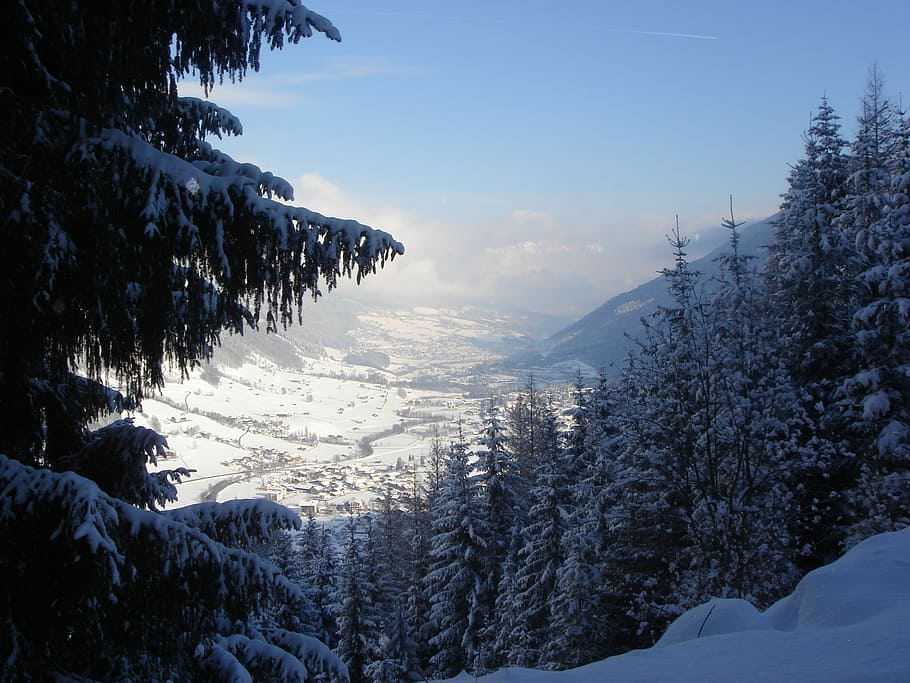Snow, Mountains, Winter, View, Firs, departure, blue sky, cold temperature HD wallpaper