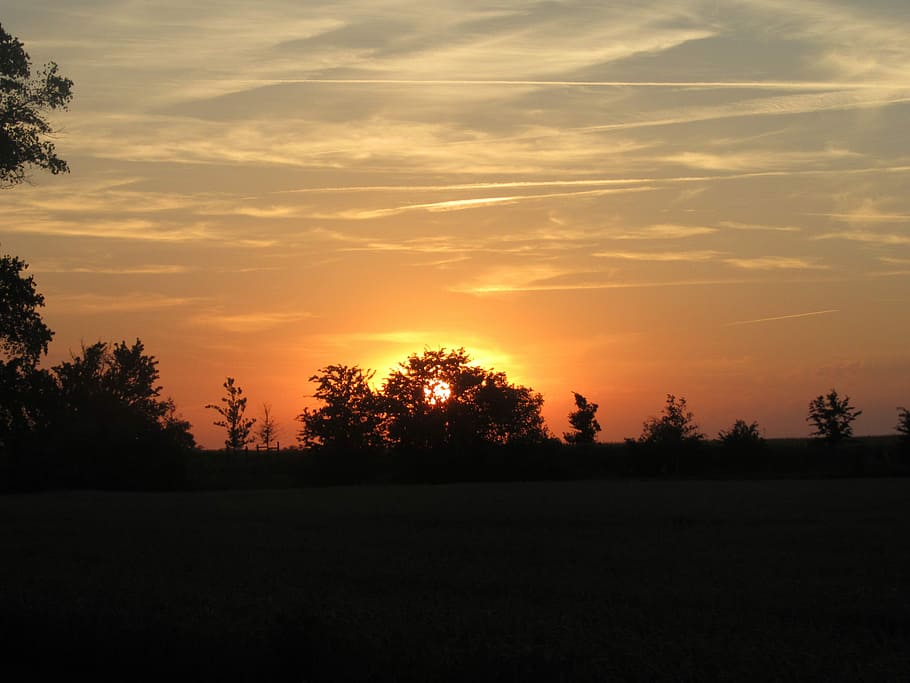 Evening, Sunset, Landscape, evening sky, tree, scenics, silhouette HD wallpaper