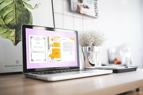 silver MacBook Pro on table, brown, beside, plotted, pot, office HD wallpaper