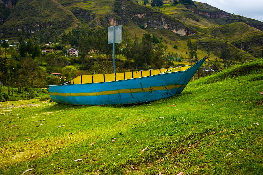 boat, river, adventure, nautical vessel, plant, transportation HD wallpaper