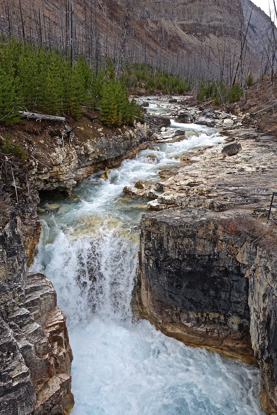 Falls, Cascades, River, Waterfall, scenic, environment, scenery HD wallpaper