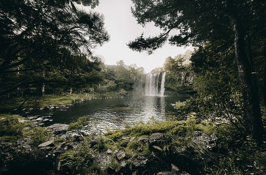 falls surrounded trees, waterfalls and trees under grey clouds HD wallpaper
