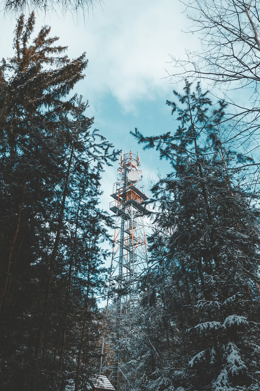 green trees, forest, tower, satellite, steel tower, low angle view HD wallpaper