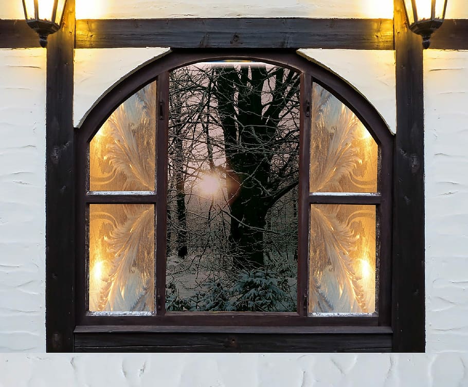 withered tree between windows, Hardest, Winter, Cold, Snow HD wallpaper