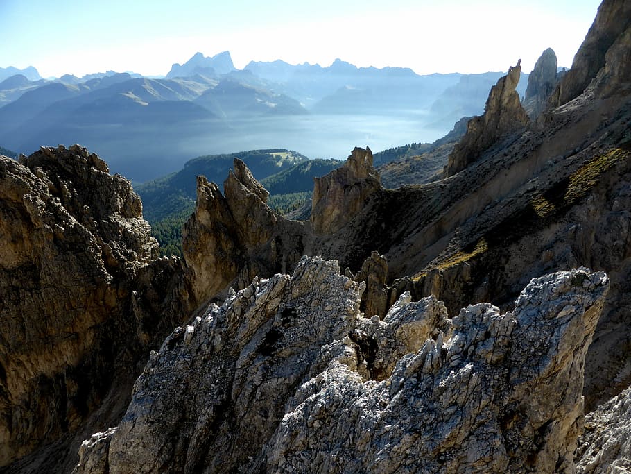 fungus, stopper, rabbit, mountain, nature, mountain Peak, landscape HD wallpaper