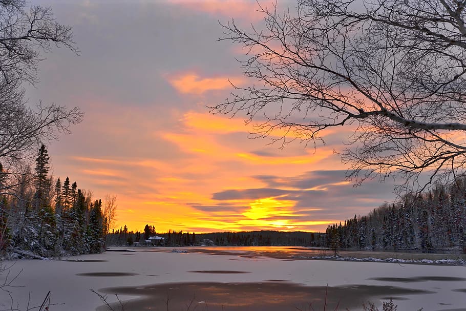 sunset, winter, tree, snow, nature, branches, twilight, contrast HD wallpaper