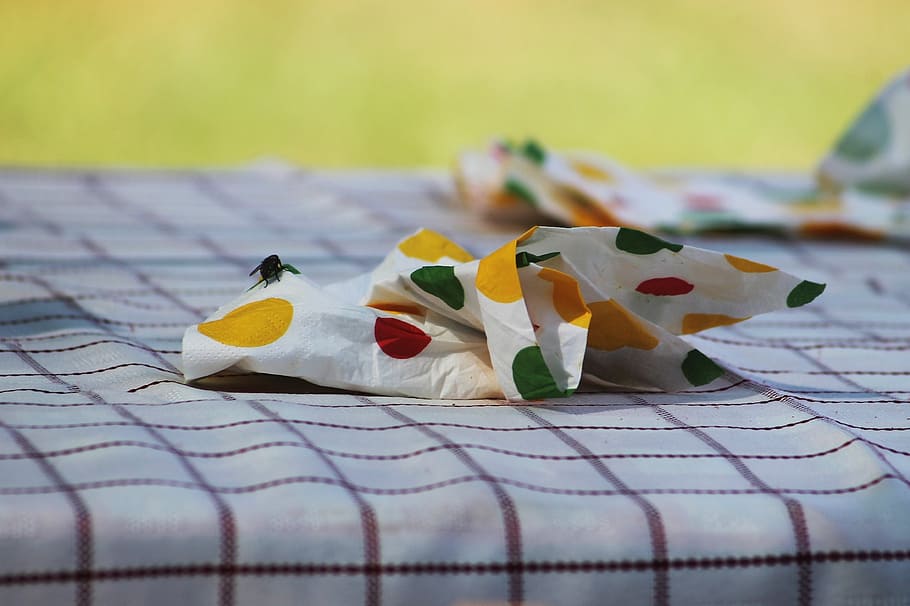 table, fly, napkin, picnic, pattern, no people, art and craft HD wallpaper