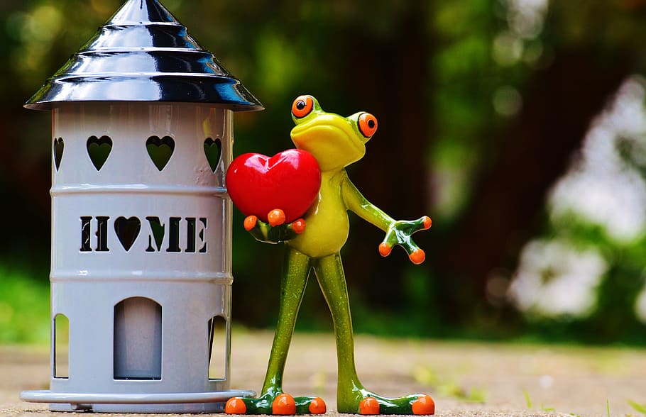 frog holding heart figurine, at home, beautiful, cute, decoration