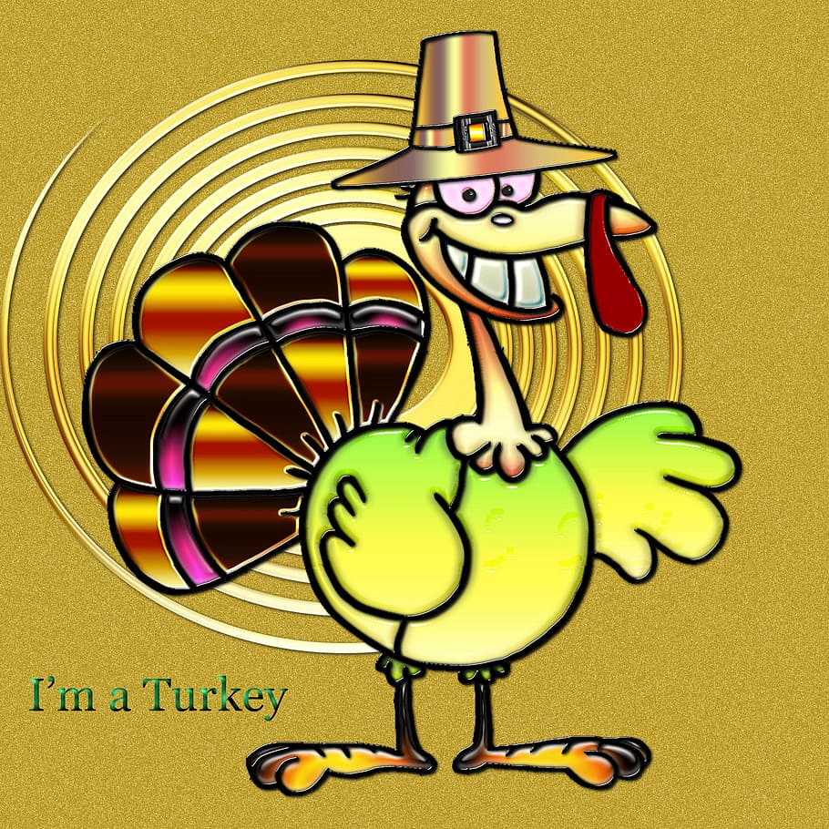 Colorful Chromatic Thanksgiving Turkey, Bird, photos, happy, holiday, HD wallpaper