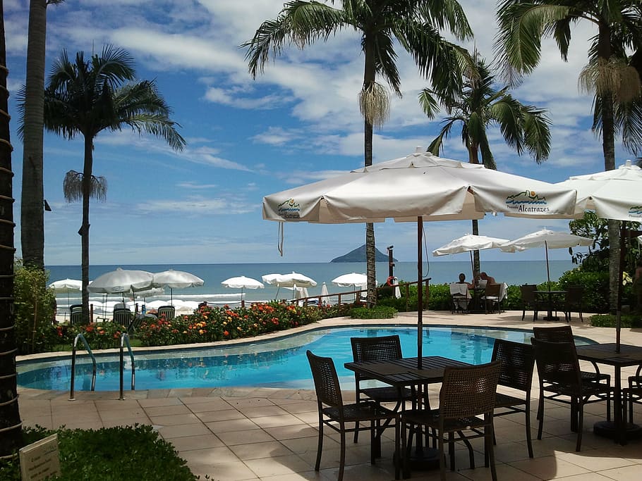 pool, holidays, palm trees, beach, rest, trip, quiet, brazil HD wallpaper