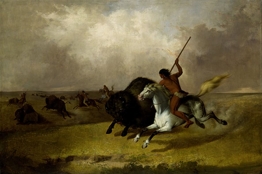 native American riding horse hunting bison painting, john stanley
