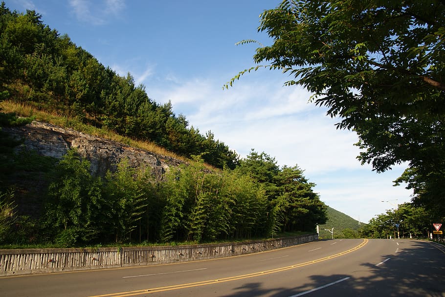 road, gil, forest, landscape, nature, mountain, asphalt, sky HD wallpaper