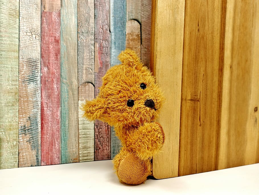 brown teddy bear beside board, soft toy, bears, stuffed animals, HD wallpaper