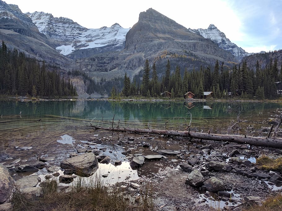 mountain, mountains, alberta, beauty in nature, scenics - nature HD wallpaper