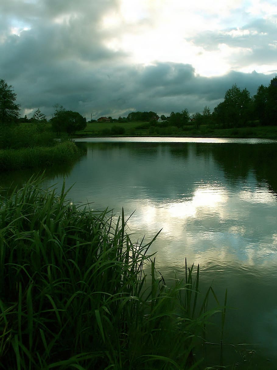 pond, water, reflection, sky, evening, evening sky, clouds HD wallpaper