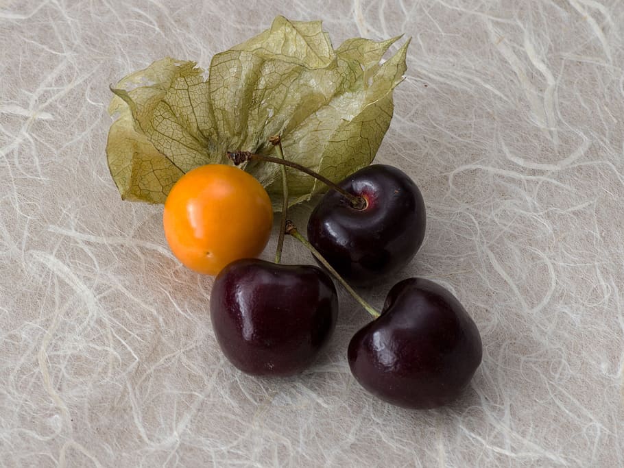 cherries, physalis, macro, food, fruit, food and drink, healthy eating HD wallpaper