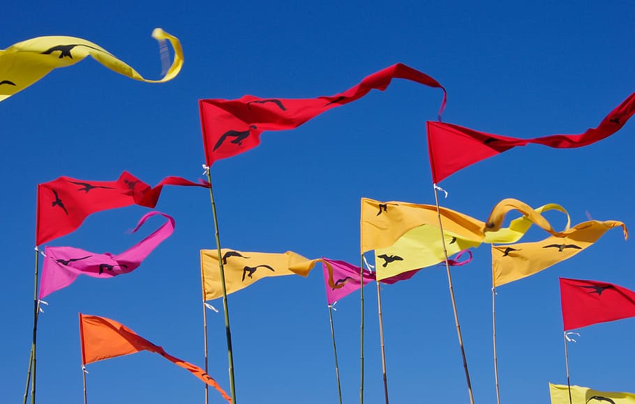 flags, pennants, red, yellow, blue, sky, flutter, blowing, colourful HD wallpaper