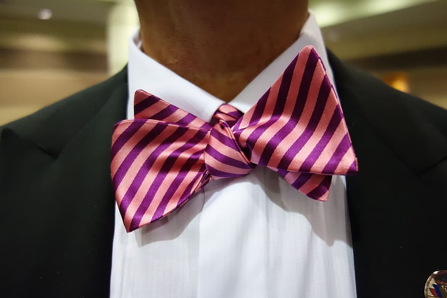 man wearing pink and purple striped bowtie in close-up photo HD wallpaper