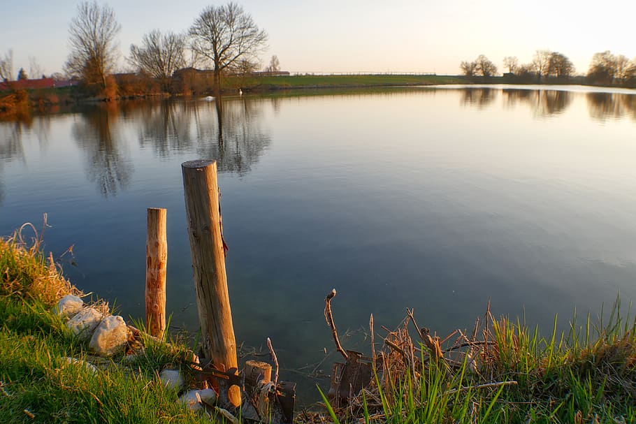 waters, lake, reflection, nature, river, tree, landscape, grass HD wallpaper