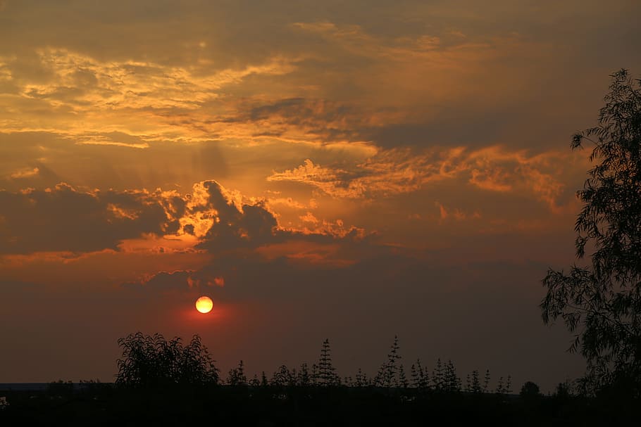the scenery, sunset, sky, cloud - sky, silhouette, beauty in nature HD wallpaper