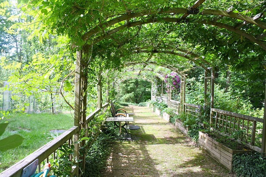 person showing a garden during daytime, pergola, shady walk, garden walk, HD wallpaper