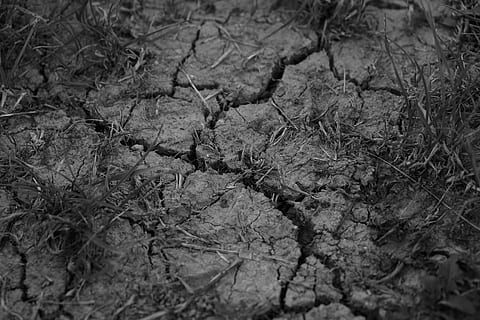 Drought, Cracks, Dehydrated, Dry, Earth, ground, cracked, structure HD wallpaper