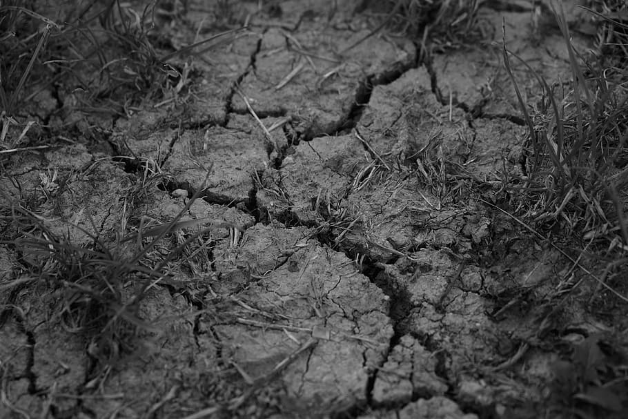 Drought, Cracks, Dehydrated, Dry, Earth, ground, cracked, structure HD wallpaper