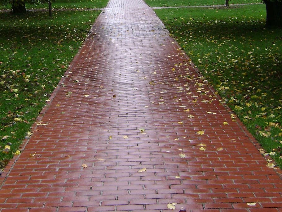 trail, bricks, paved, walking, park, pathway, walkway, grass HD wallpaper