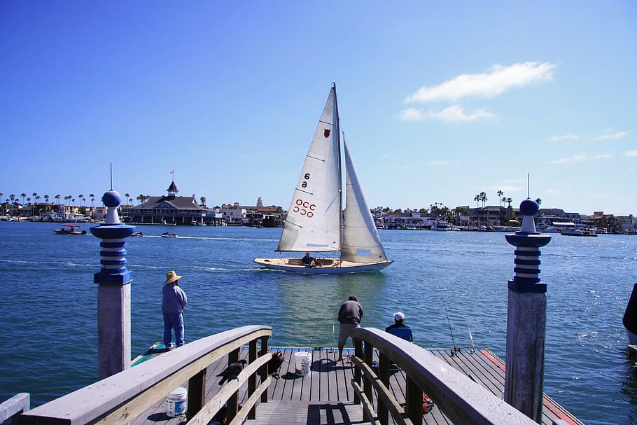 balboa, the island of balboa, yacht, california, united states, HD wallpaper