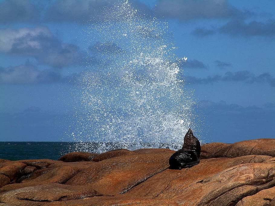 splash of water under nimbus clouds, sea wolf, waves, stones HD wallpaper