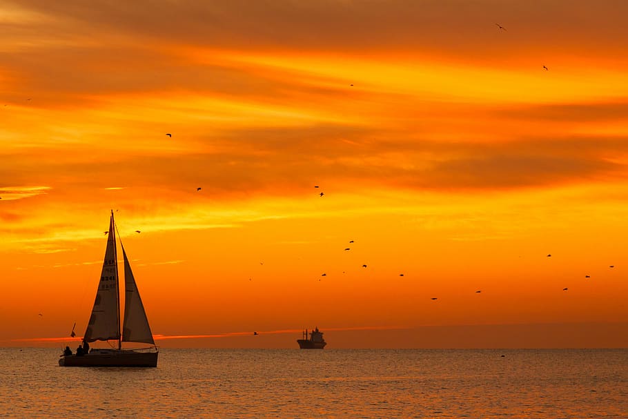 white sailboat during sunset, sailing, ship, body, water, golden, HD wallpaper