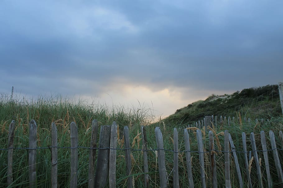 fence, demarcation, dunes, sunset, clouds, north sea, plant HD wallpaper