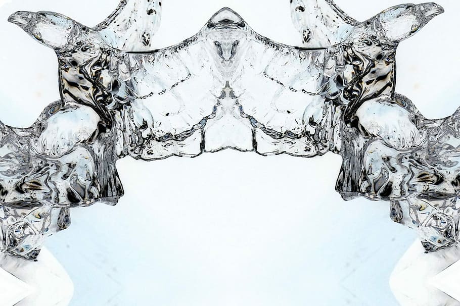 Design, Hidden Faces, Pattern, Bird, shape, abstract, water HD wallpaper