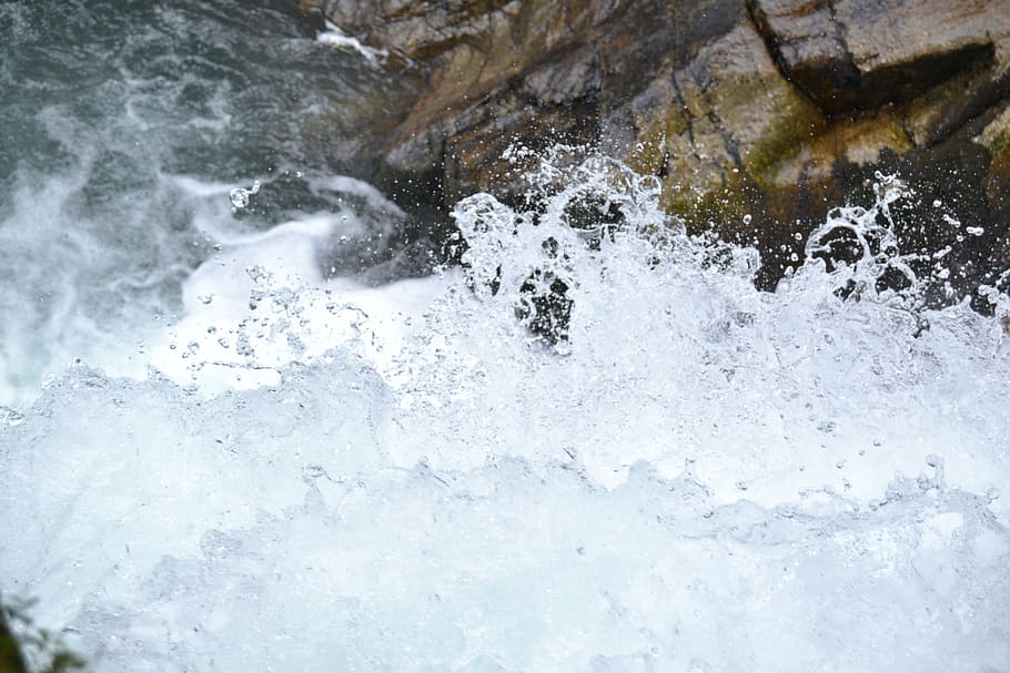 water, river, bach, movement, nature, forest, landscape, fluent HD wallpaper