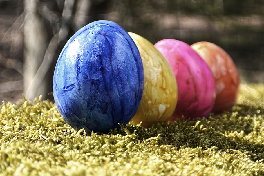 easter eggs, colorful, decoration, happy easter, colored, easter egg painting HD wallpaper