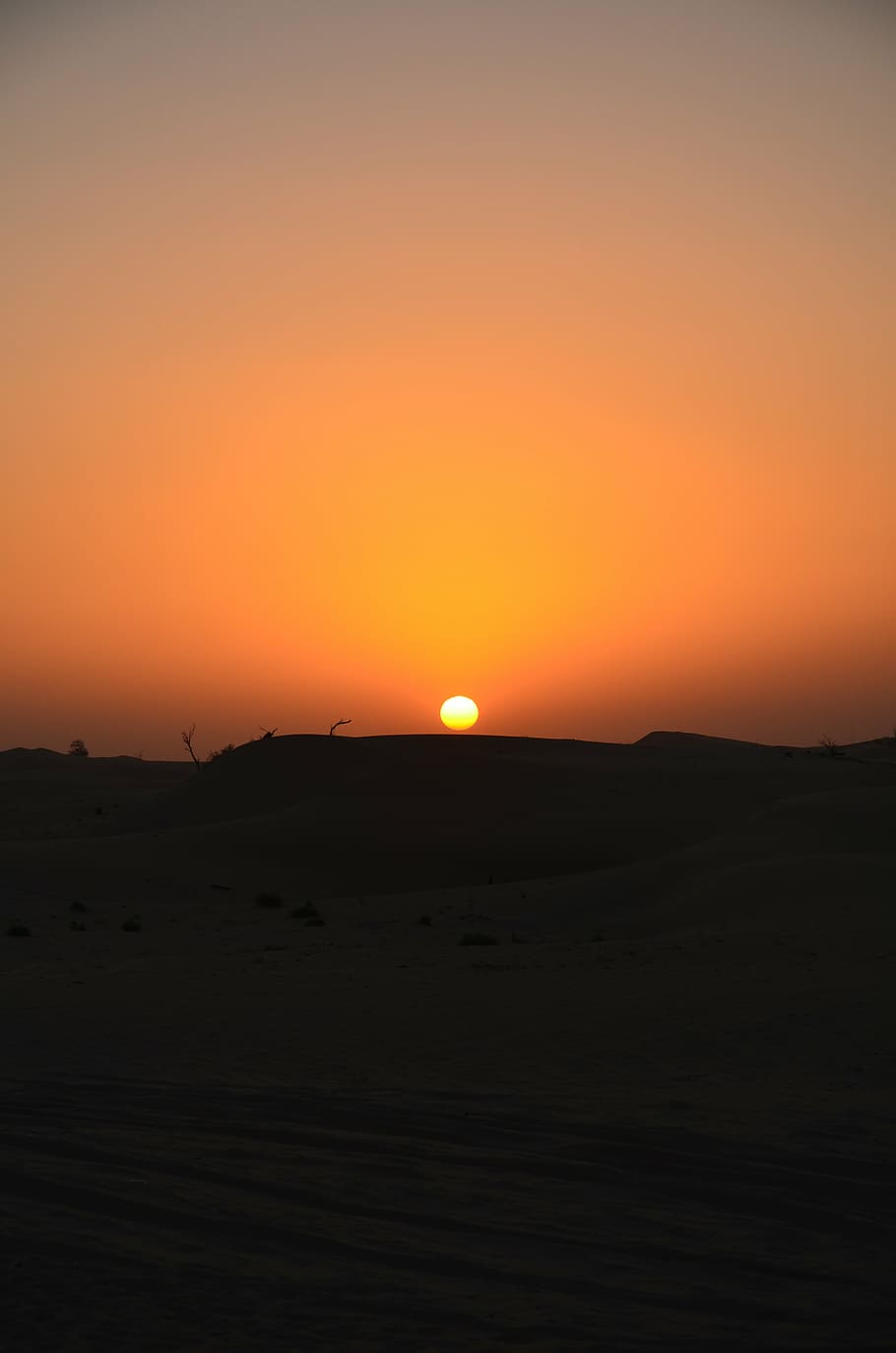 sunset, desert, abu dhabi, sky, scenics - nature, beauty in nature HD wallpaper