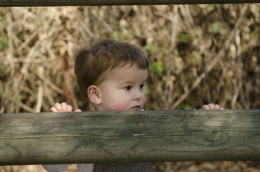 Boy, Cute, Toddler, headshot, childhood, curiosity, innocence HD wallpaper