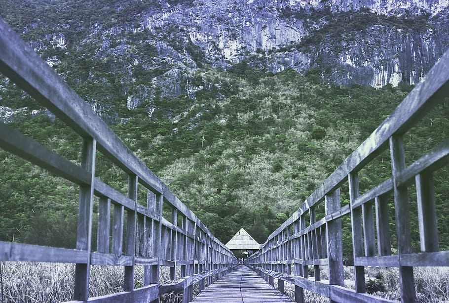 bridge, forest, outdoors, trees, wood, nature, bridge - Man Made Structure HD wallpaper