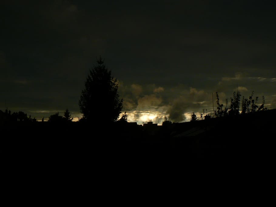 Dark, Tree, Light, Cloud, Ceiling, sky, sunset, silhouette HD wallpaper