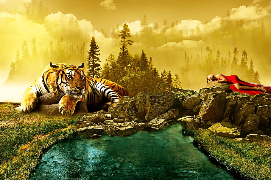 HD wallpaper: landscape, tiger, animal, manipulation, photoshop, sunset,  clouds | Wallpaper Flare