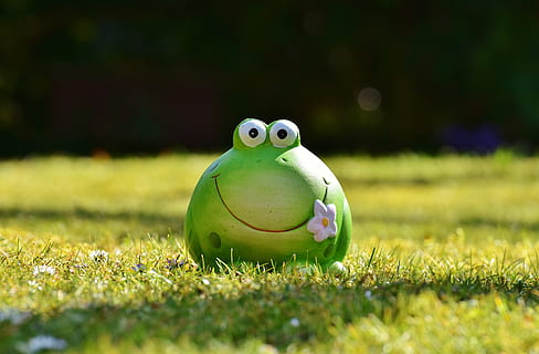 closeup photo of green frog figurine, figure, meadow, funny HD wallpaper